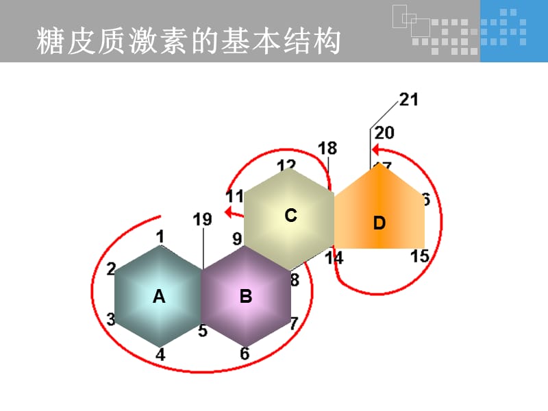 氟轻松是如何发挥其药理作用的？